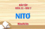 Bài tập Nitơ (N2): Giải bài tập 1, 2, 3, 4, 5 trang 31 SGK Hóa 11 bài 7